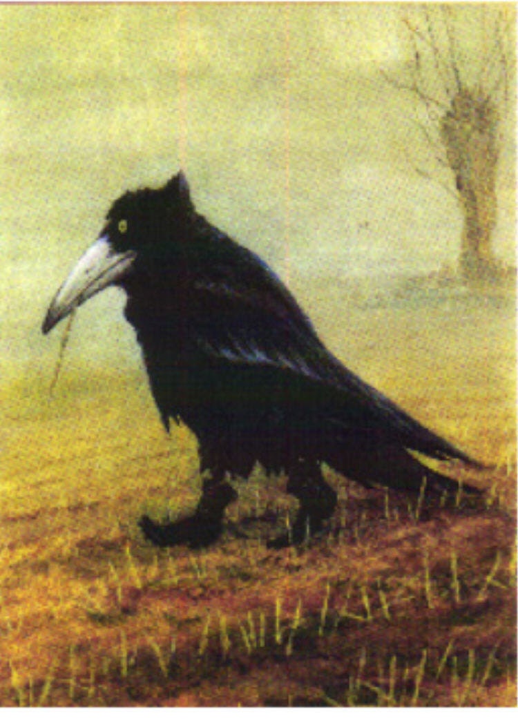 Krahe The Crow in BooTs  Fridge Magnet