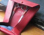 Vintage Scissors and Case