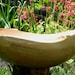 Large natural edge silver maple bowl