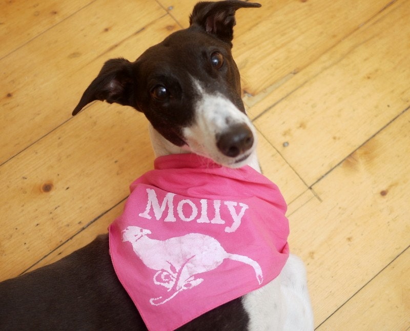 Custom pet name dog bandanna