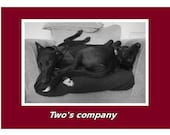 Hounds in love card - Two's company
