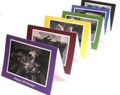 funny greyhound greeting cards - your choice of any 5