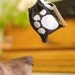 Paw print pet pouch