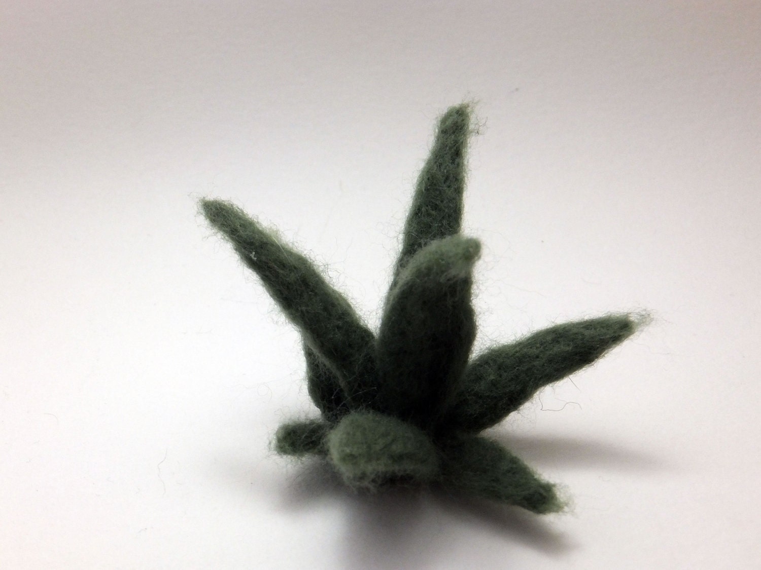 Felted Agave