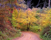 Fine Art Print Photo 11x14 Road Less Traveled Wall Art