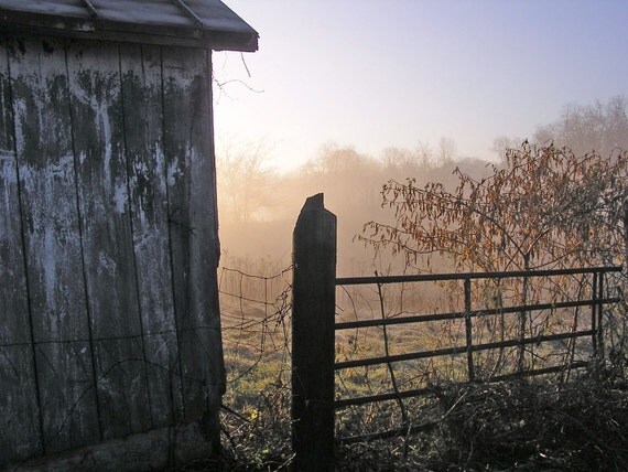 Primitive Photograph 8x10 Fog at the Gate Fine Art Fall Print