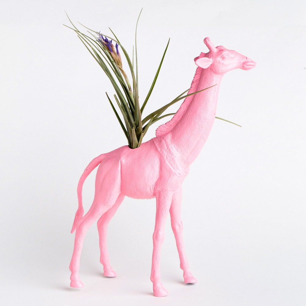 Giraffe Planter with Airplant, College Dorm Ornament, Pink Geekery, Re Purposed Toy Up cycled