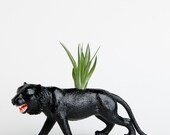 Animal Planter with Air Plant , Tiger Room Decor, College Dorm Ornment, Safari Animal Plant Pot