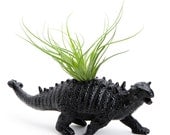 Dinosasur Planter with Air Plant Room Decor, College Dorm Ornament, Plants and Edibles, Repurposed Toy
