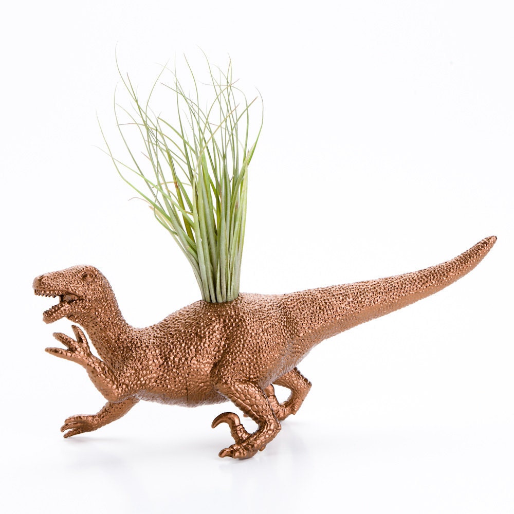 Dinosaur Planter with Air Plant Room Decor, College Dorm Ornament, Plants and Edibles