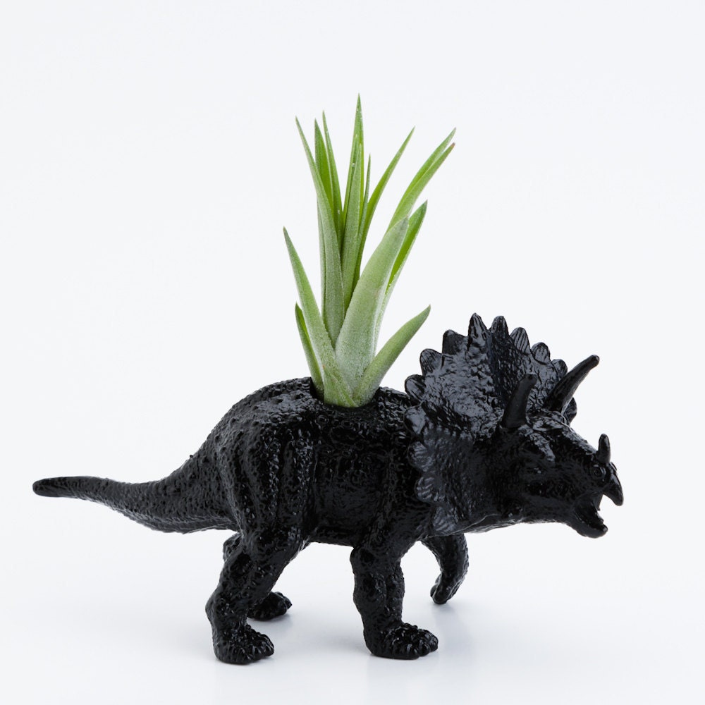 Small Black Dinosaur Planter with Air Plant Room Decor, Geekery, College Dorm Ornament Plants and Edibles
