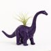 Small Dinosaur Planter with Air Plant Room Decor, College Dorm Ornament
