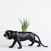 Animal Planter with Air Plant , Tiger Room Decor, College Dorm Ornment, Safari Animal Plant Pot
