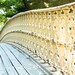New York Photography - Early Morning Walk in Central Park - 8x10 Fine Art Photograph - Affordable home decor