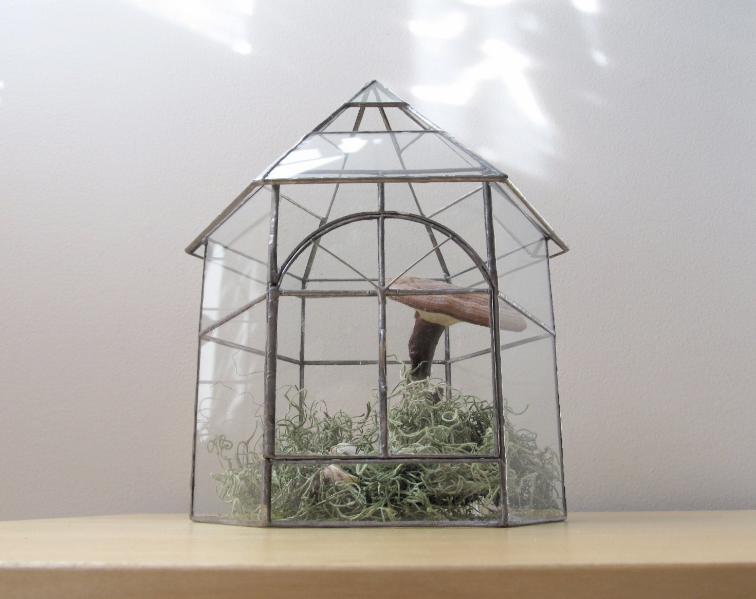 vintage greenhouse botanical garden glass terrarium