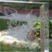 Personalized Engraved Wedding Cake Top- Any Design to Suit Your Theme