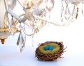 Turquoise Nest Shabby Chic Spring Decorating, blue eggs baby bird home decor needle felted shower favor, stocking stuffer
