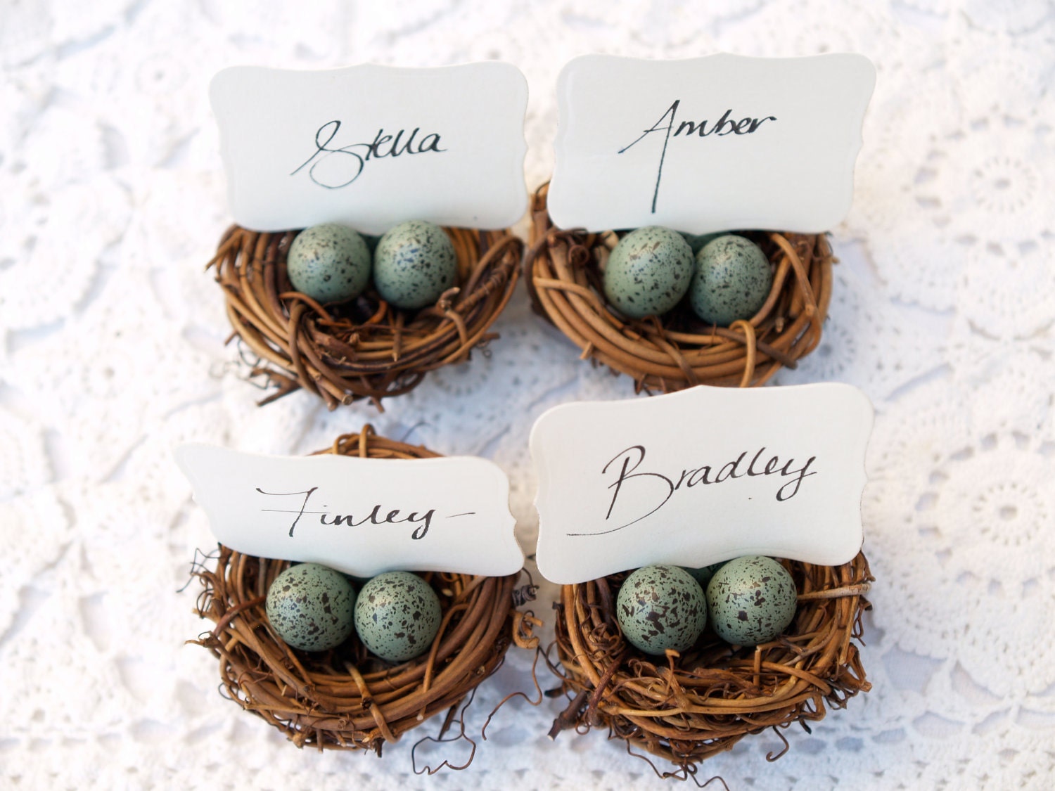 Nest Place Cards, Wedding Spring Favor Robin Egg Blue 10 Easter Woodland Rustic Fairytale Classic Shabby Chic Country Theme Baby Shower