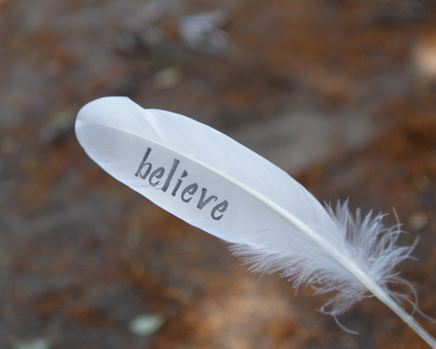 Believe Feather - Love Feather, Words of Inspiration , white dove feather , wedding favor table decoration, Stocking Stuffer