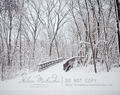 Fine Art Nature Photograph. Snowy winter.  Thru the Woods. 5x7 Print