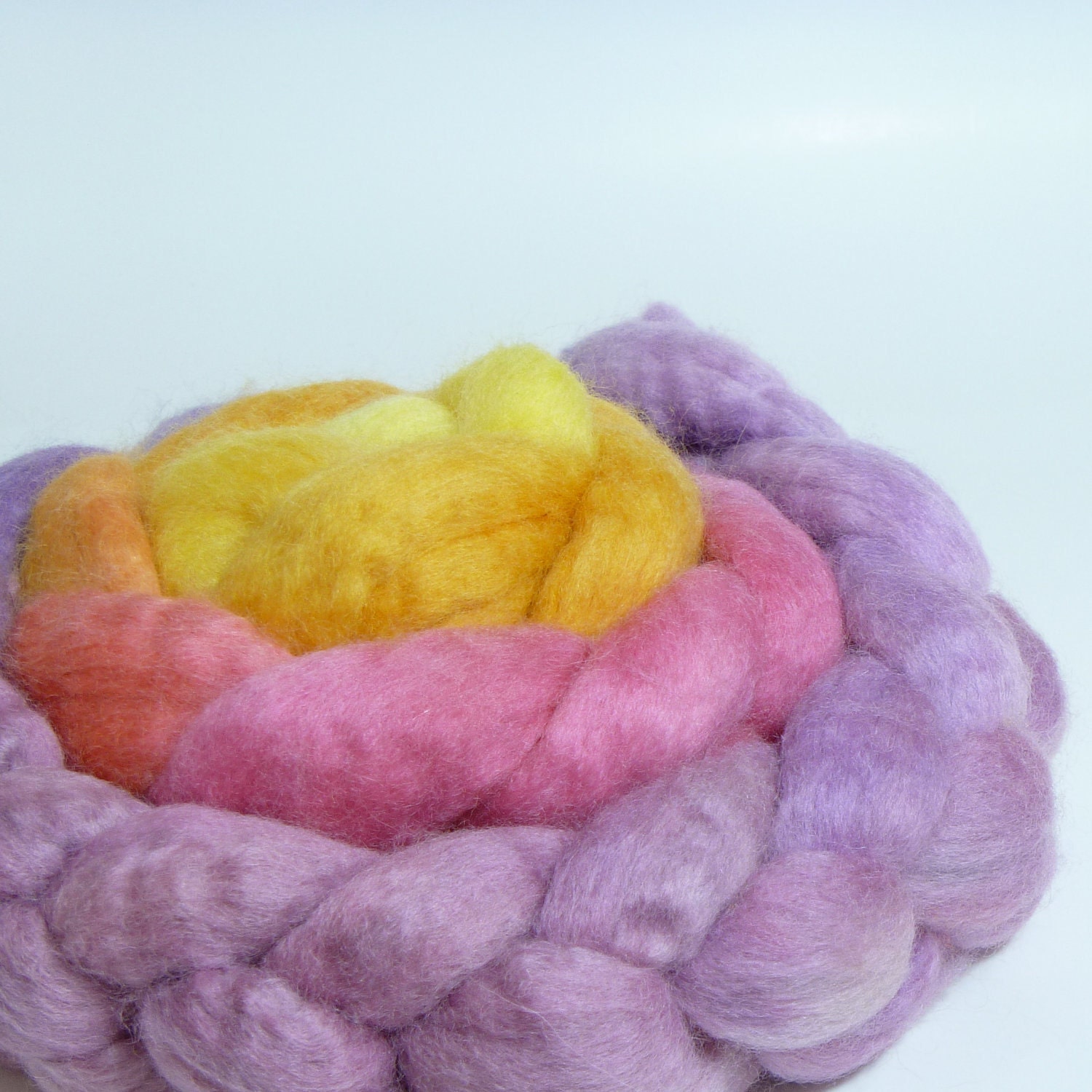 5.3oz BFL Combed Top - Tiptoe through the Tulips