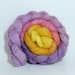 5.3oz BFL Combed Top - Tiptoe through the Tulips