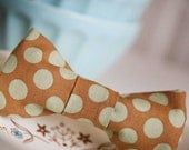 Child Bow Tie- Brown and mint polka dot- The Toad