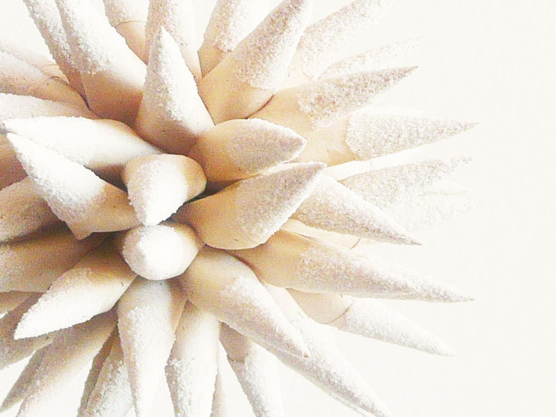 Beach Wedding Decoration Wedding Gift Paper Star Urchin Nautical Home Decor Ivory Sand Dipped Ornament - 4 inch - White Sandy Beach Sparkler