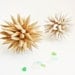 Beach Wedding Decoration Wedding Gift Paper Star Urchin Nautical Home Decor Ivory Sand Dipped Ornament - 4 inch - White Sandy Beach Sparkler