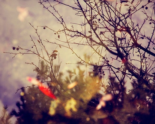 Whimsical nature photography - Fishpond 2 - 8x10 fairy tale art print - purple fall home or nursery decor