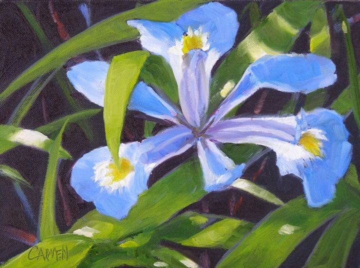 Iris, 6x8 Original Oil Daily Painting