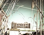 Midtown Detroit Fine Art Photograph