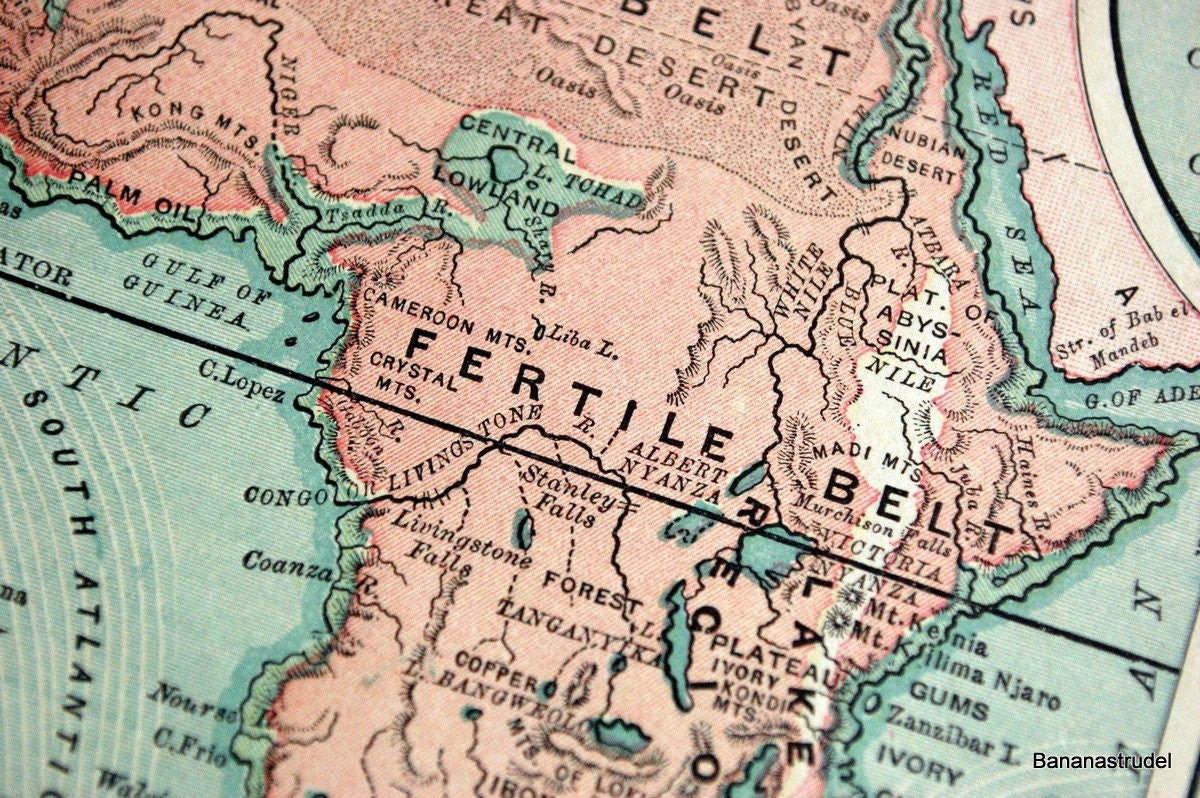 1882 Antique Political Map of Africa