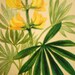 1901 Antique Botanical Chromolithograph. No. 47