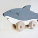 Wooden Shark Push Toy- Eco Friendly Waldorf