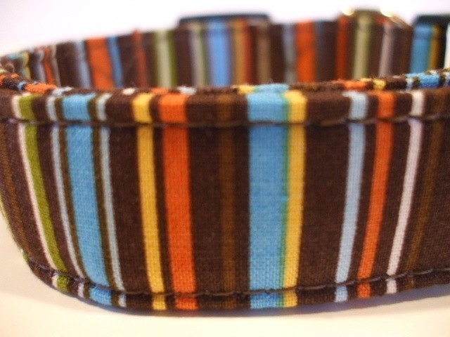 Collars With Curb Appeal - Fall's Surrender -LRG/MED