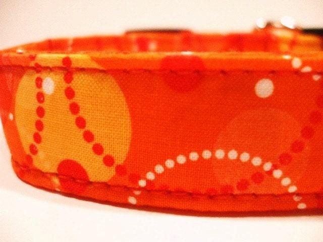 Collars With Curb Appeal - Tangerine Dream - MED