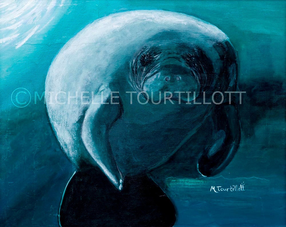 Manatee Mixed Media Original Painting 23.5 X 20