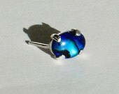 Blue Paua Shell Tie Tack Father's Day Gift for Dad