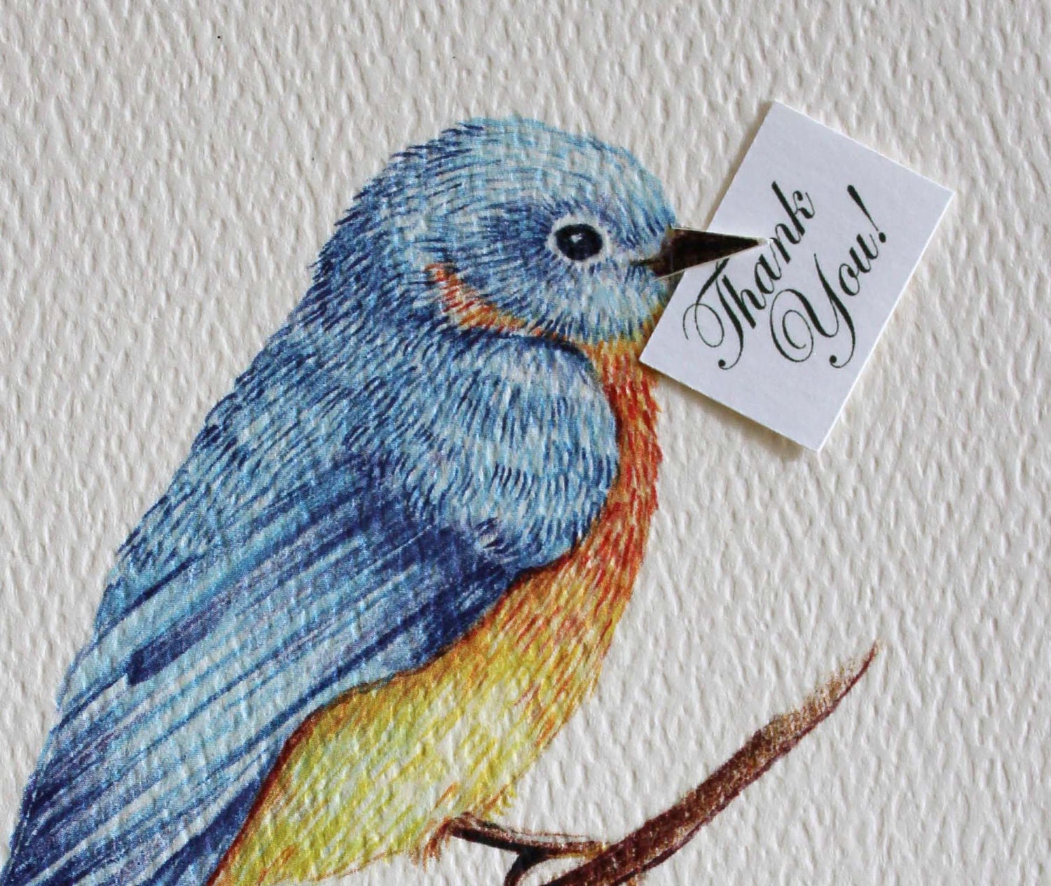 Blue Bird of Happiness Thank You Cards. Set of 50