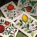 Fruit Linocut Reproduction Cards Set of 8 with envelopes