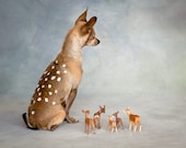 Bambi and Friends 2