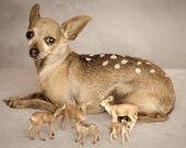 Bambi