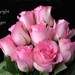 Sweetheart Roses II Card