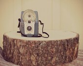 14" STUMP Rustic Wood Tree Trunk Slice Wedding Cake Base or Photography Prop