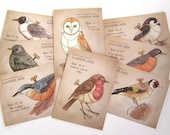 Clockwork Birds - set of 8 Postcard Prints