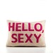 HELLO SEXY - recycled felt applique pillow 10" x 14" - more colors available