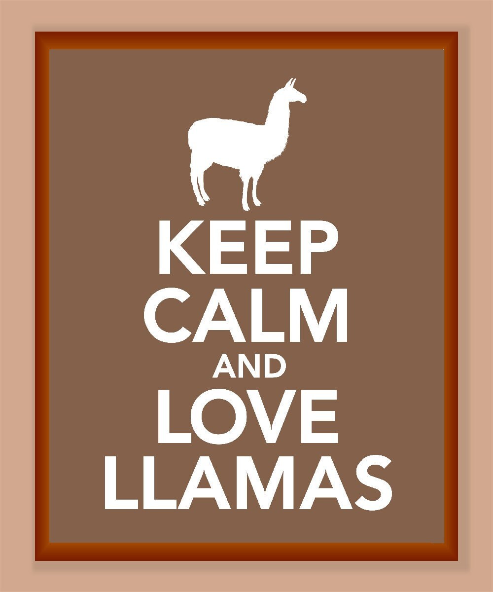 Love Llama