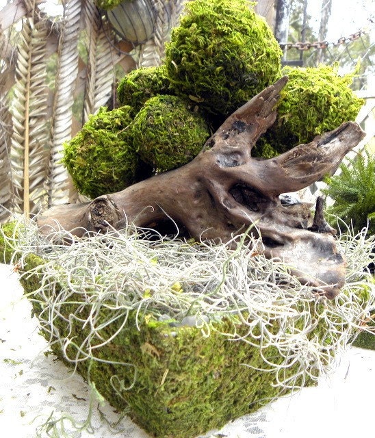 4" Moss Ball-Beautiful Hand made balls of Moss-Wedding favors-Fairy party-Pomander balls-Topiary Balls