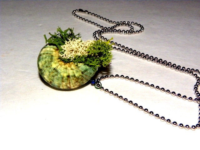 Lichen Filled Shell Necklace-Seashore necklace-Woodland forest cottage necklace